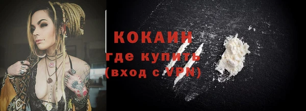 крисы Абаза