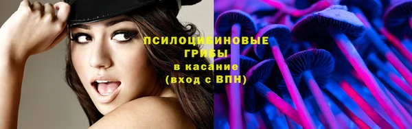 прущие крисы Алексеевка