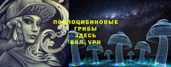 прущие крисы Алексеевка