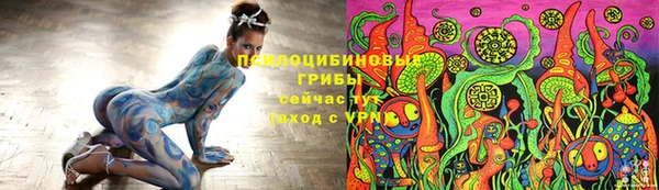 шишки Абдулино