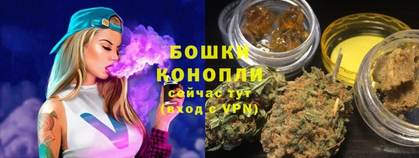 крисы Абаза