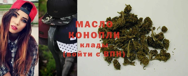 крисы Абаза