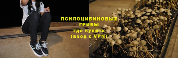 шишки Абдулино
