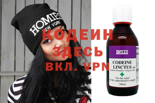 крисы Абаза